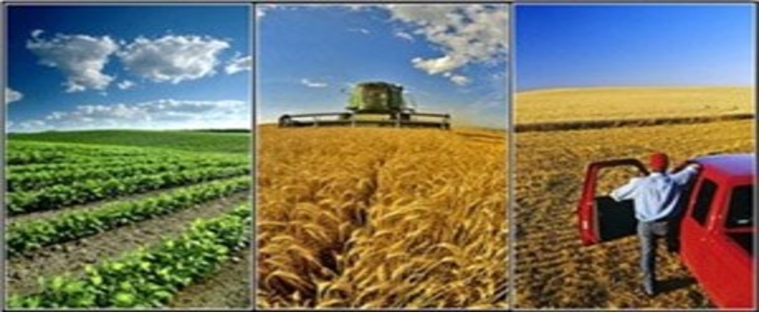 Organik Tarım ve İyi Tarım Uygulamaları Desteği Ödemeleri Yapılmaya Başlandı