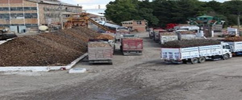 Malatya`da Şeker Pancarı Alım Kampanyası Başladı
