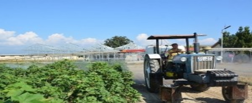 Nazilli`de Pamukta Tarla Günü Yapıldı