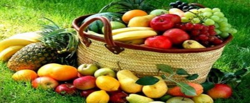 Ordu`da Organik Tarım ve İyi Tarım Destekleme Ödemeleri Başladı