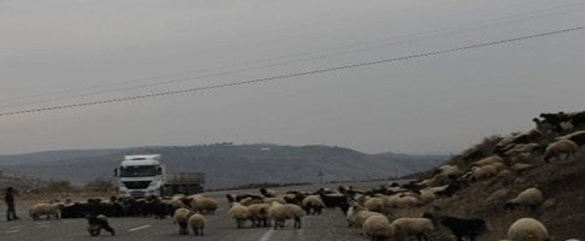 Siirt`te Yaylalardan Dönüşler Sürüyor