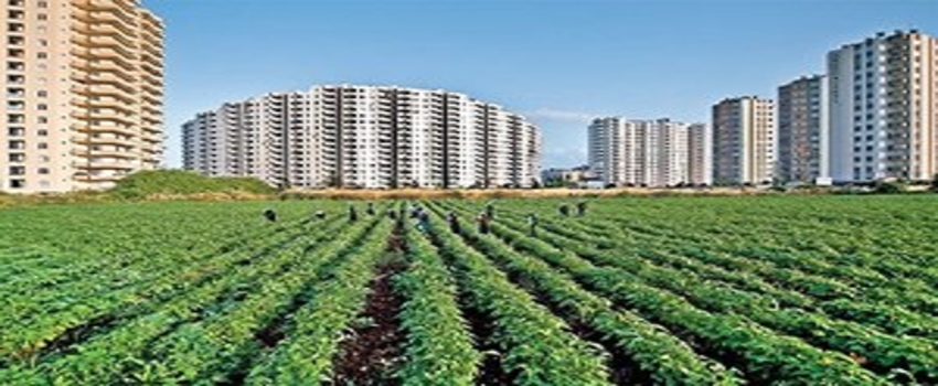 13 Yılda 2,4 Milyon Hektar Tarım Arazisi Kayboldu