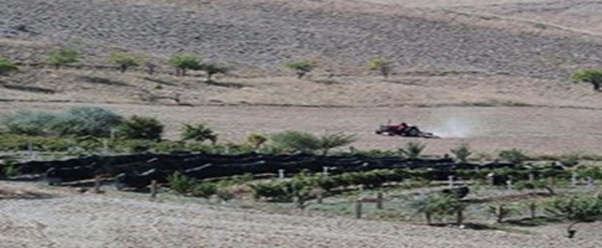 `Toprağı Derin Sürmeyin` Uyarısı
