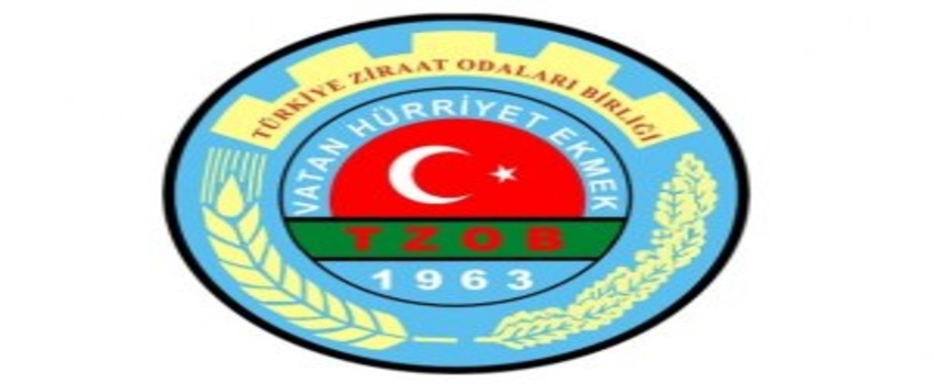 Üretici De Tüketici De Kaybediyor