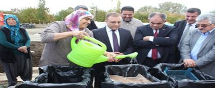 Kadın Çiftçiler Sıcak Kompost Üretiyor