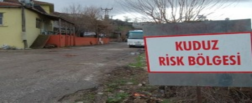 Bingöl`de 1 Köy Karantina Altına Alındı