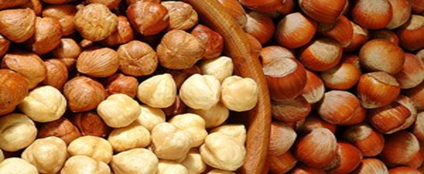 Fındık İhracatında Artış