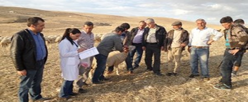Küpeleme Çalışmaları Arapgir`den Başladı