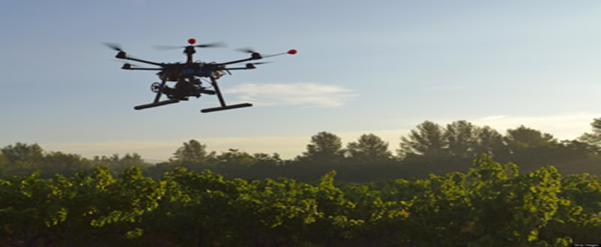 Drone`lar Suya Dalıp Ağaç Dikecek