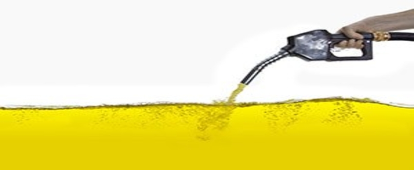 Tütünden Biodizel Yakıtı Yolda