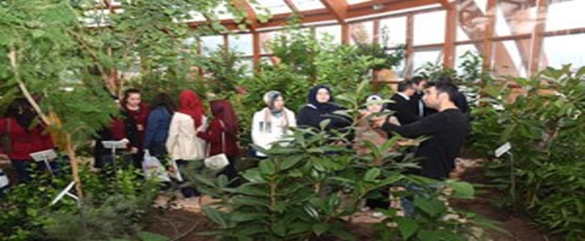 Vatandaşlara, Tıbbi ve Aromatik Bitki Yetiştirilmesi Öğretiliyor