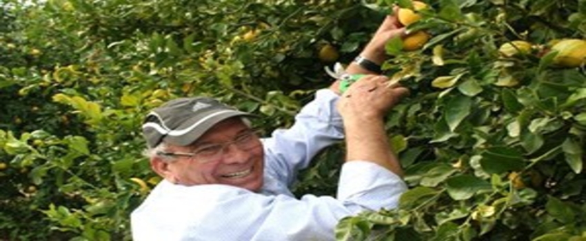25 Yıl Milletvekilliği Yaptı, Şimdi Limon Yetiştiriyor