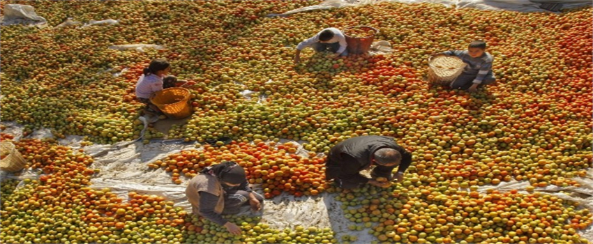 Milas`ta 2016 Yılı ÇKS Kayıtları Başladı