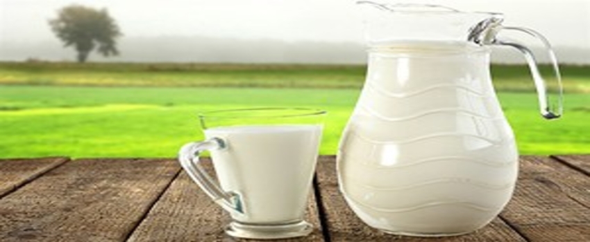 Çiğ Süt Market Raflarına Çıkıyor