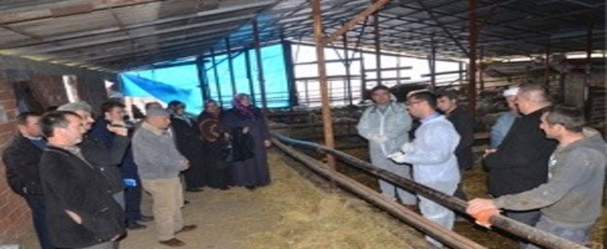 Kadınlar, Çobanlık Mesleğine Renk Katacak
