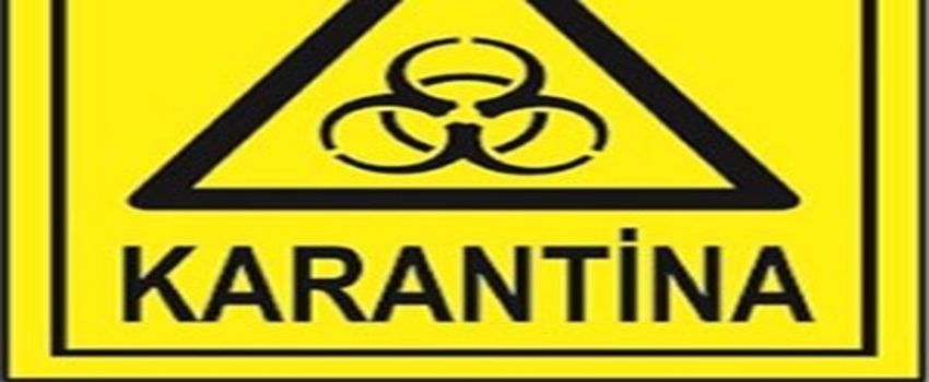 Siirt`te Bir Mezra Karantinaya Alındı