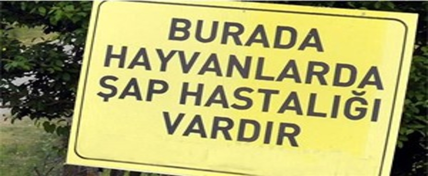 5 Mahalle Karantinaya Alındı
