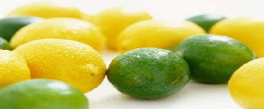Rusya`ya Limon da Vermeyelim