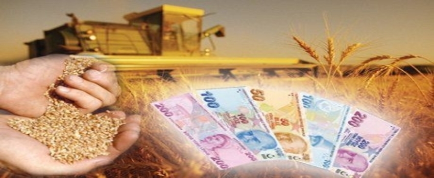 Manisa`da Çiftçiye Organik Tarım Desteği