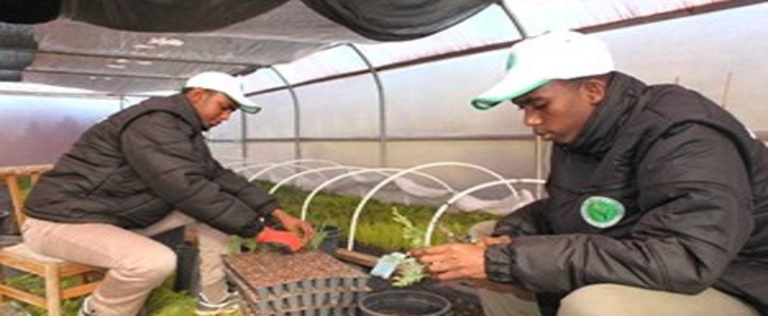 Ziraat ve Tarım Lisesi`nin Somalili Öğrencileri
