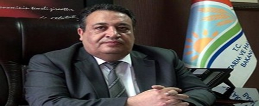 Sivas`ta Şap Hastalığı 58 Hayvanı Telef Etti