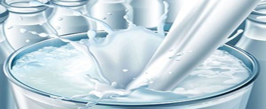 Süt Teknoloji Araştırma ve Geliştirme Merkezi Projesi
