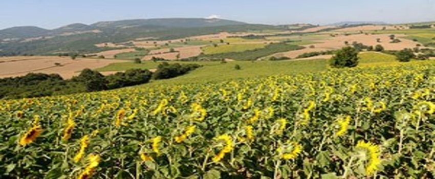 Tarım ve Hayvancılık Kredi Miktarları Belli Oldu