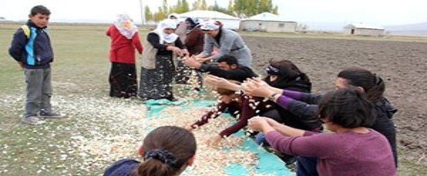 Büyükşehir Belediyesi`nden Tarımsal Kalkınmaya 6,5 Milyon TL Yatırım