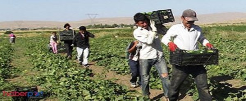 2016 Çiftçi Destek Ödemelerinde Son Durum Ne Oldu?