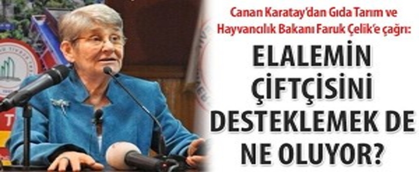Karatay`dan Gıda Tarım Ve Hayvancılık Bakanı Faruk Çelik`e Çağrı