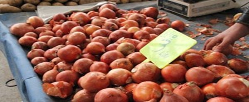 Kuru Soğanın Fiyatı Rekora Koşuyor
