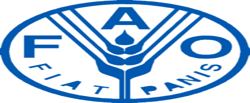FAO`nun `Koru ve Yetiştir` Girişimiyle Tarımda Yenilikler