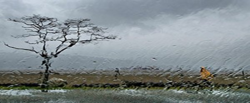 Beyşehir`de Yağışlar Yüzleri Güldürdü