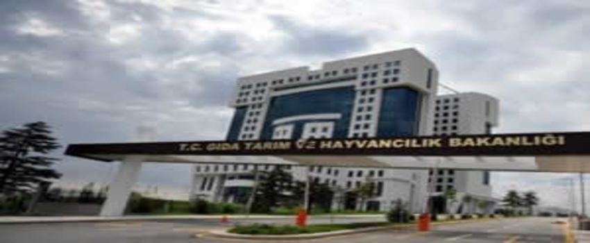 TARMEG`de Ceylan Soyadı İddiası
