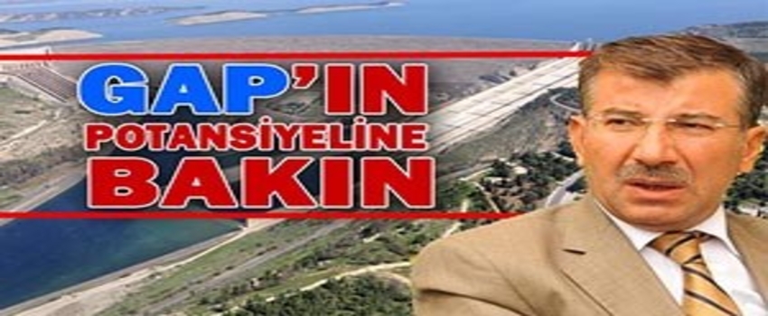 GAP Bölgesinde 60 Milyar $ Tarım Potansiyeli Var!..