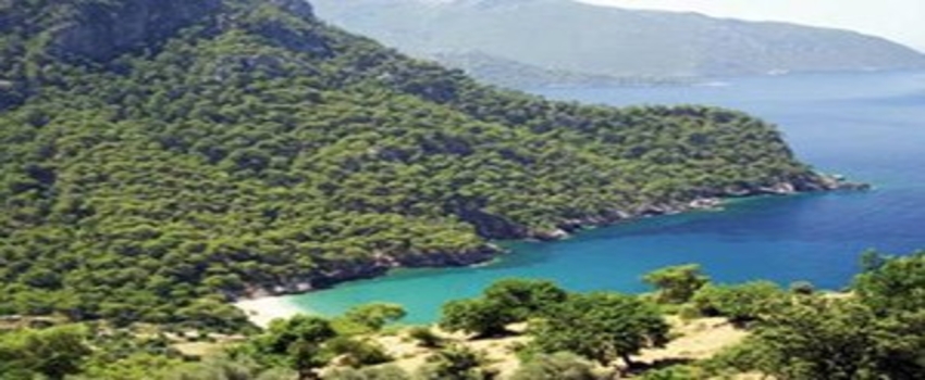 Adana`da 400 Çiftçi Aileye 2.5 Milyon Kredi Verildi