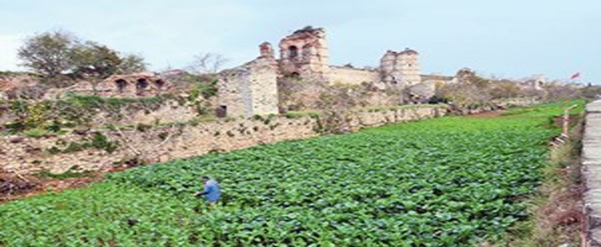Dünyayı Yedikule Bostanları Kurtaracak!