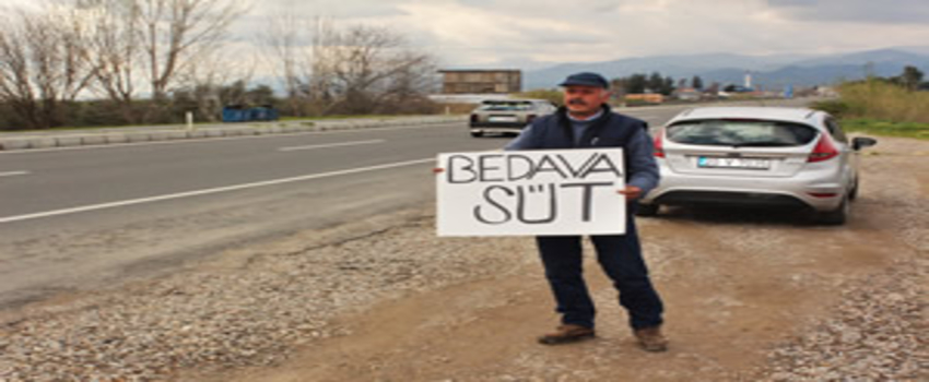 Sütünü Satamayan Çiftçi 300 Litre Sütü Bedava Dağıttı