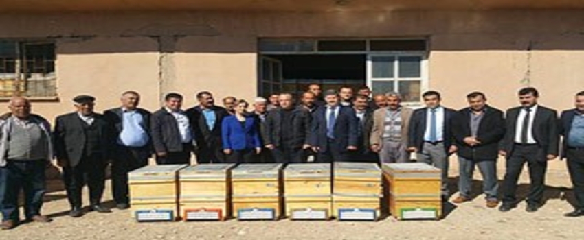 450 Arı Kovanı Bal Üreticilerine Dağıtıldı