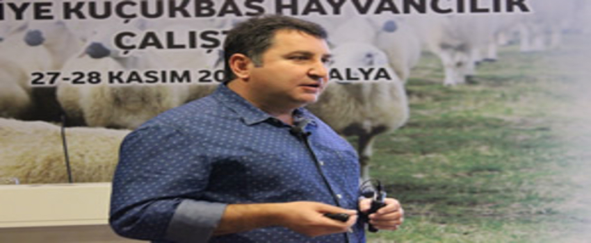 Rafta 9 TL Olan Sütten Yetiştirici Ne Kazanacak?