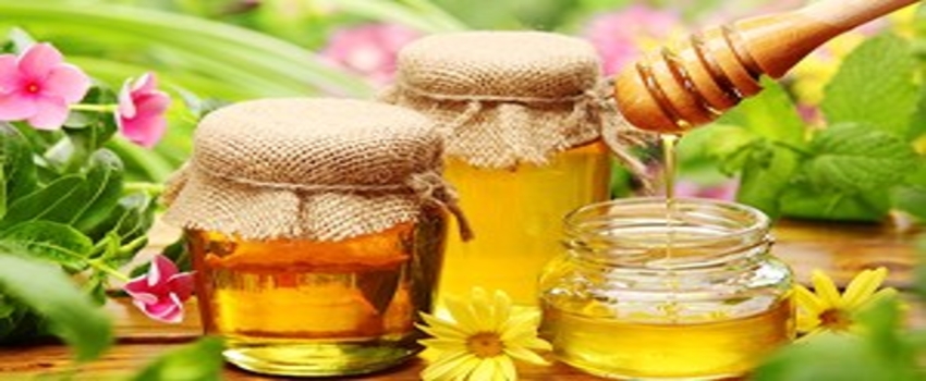 Arılar Bal Mesaisine Başladı