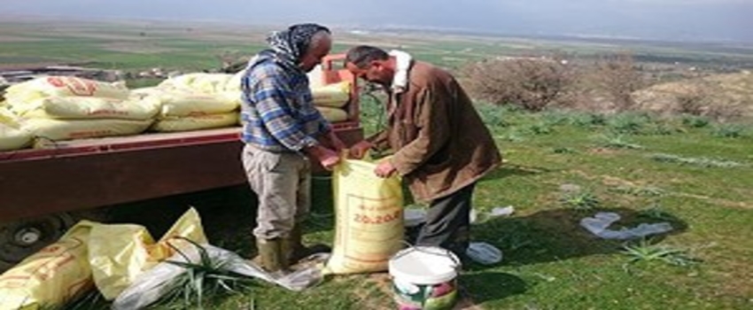Aydın`da Yılın İlk Mera Islahı Gübreleme Çalışmaları Tamamlandı