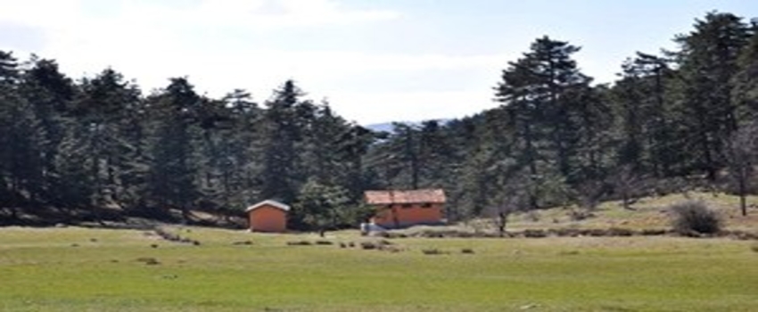 Bakan Çelik`ten Bursa`nın Kırsal Kalkınma Projelerine Destek