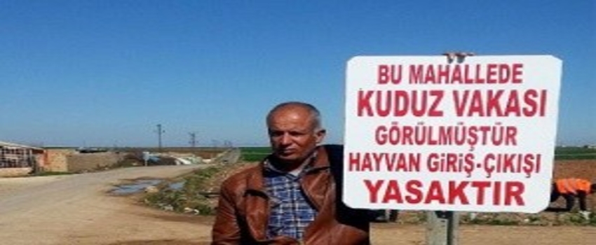 Ceylanpınar`da Mahallede Kuduz Karantinası