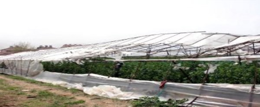 Fethiye`deki Fırtına Seraları Yıktı