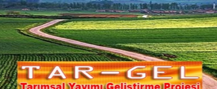 Tar-Gel`liler İlçe Ve İl Müdürlüklerine Alınıyor