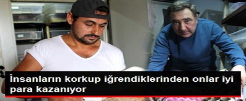 Hamam Böceği, Çekirge, Kurtçuk Üretip Satıyorlar