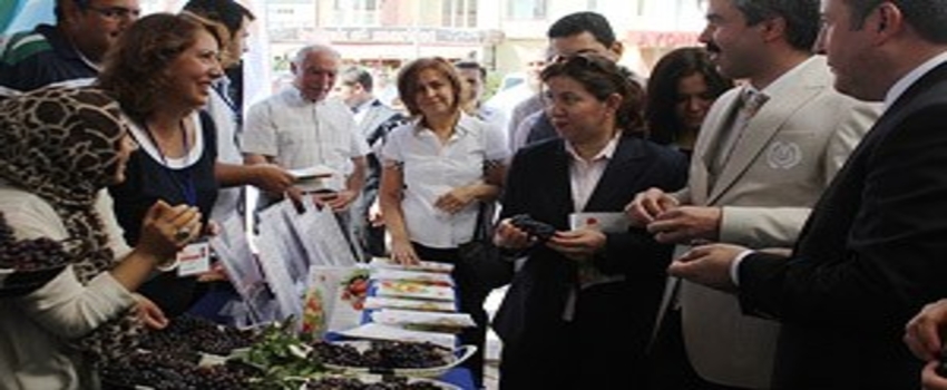 Kayseri`li 50 Kadın Çiftçi Girişimciliğe Adım Attı