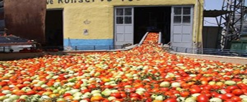 Kulaca`da 2016 Sezonu Başladı