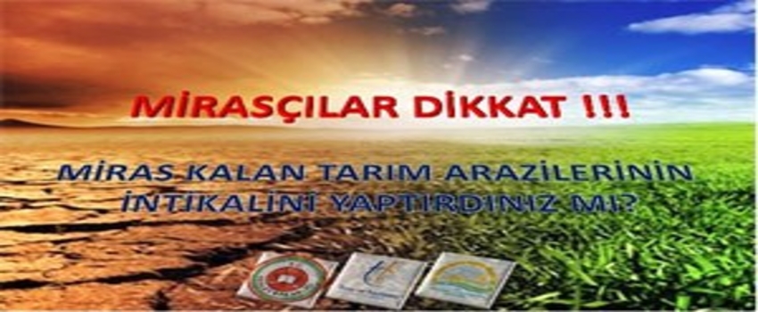 Mirasçılar Dikkat! 3 Ayınız Kaldı
